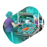 Marco Industries Limited