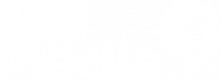 Media 1