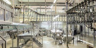 Meyn Poultry Equipment Limited