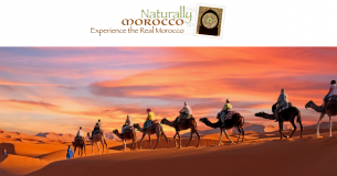 Naturally Morocco logo
