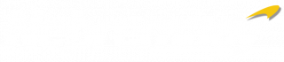 Netpremacy logo