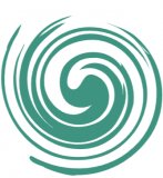 The Clean Car Co. logo