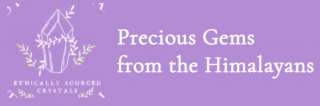 Precious Gems logo