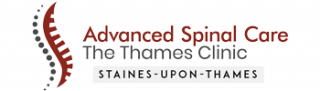 The Staines Family Chiropractic Clinic logo