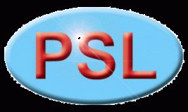 Program Systems Limited logo