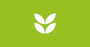 Spring Group Limited