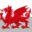 St Davids Commercial logo