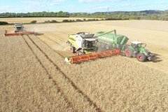 Strawson Limited