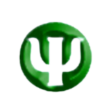 P S I Global Limited logo
