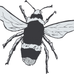 Pollination logo