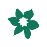 Scent From The Islands logo
