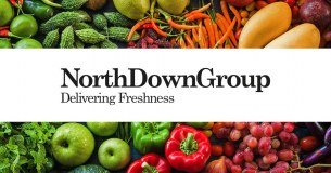 North Down Group logo