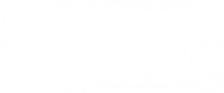 Severn Servicing logo