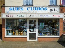 Sues Curios