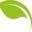 The Institute Of Horticulture logo