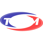 Team Engineering logo