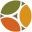 Tricon Management And Holdings Limited logo