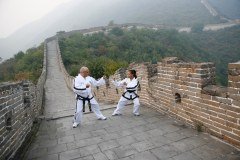 Taekwon-do-wales.Com