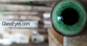 The Glass Eye Co. logo