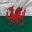 The Royal Regiment Of Wales Museum logo