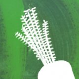 Riverford Home Delivery (West Cornwall)