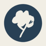 Timberplay Limited