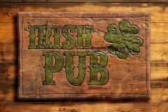 The Old Bull & Bush