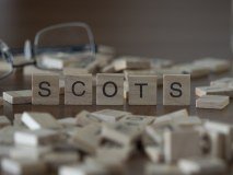 Scottish Language Dictionaries logo