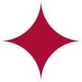 Smart Systems Limited logo