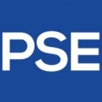 P S E Associates logo