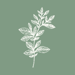 Tottington Manor Hotel logo