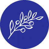 The Real Greek Souvlaki logo