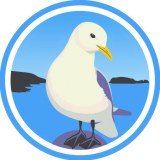 Caerfai Bay Caravan & Tent Park Limited logo
