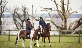 Severnvale Equestrian Centre logo