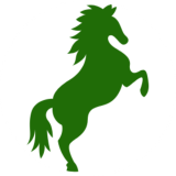 Shanter Riding Centre logo