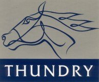 Thundry Competition Stud logo