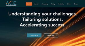 The Ace Group