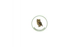 Spaldwick Community Primary School logo