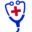 Doctor Carpet logo
