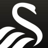 Swansea City Football Club