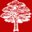 Treework (Tunbridge Wells) Limited