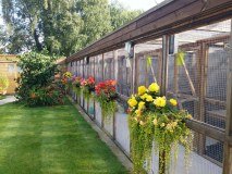 Santosha Kennels & Cattery logo