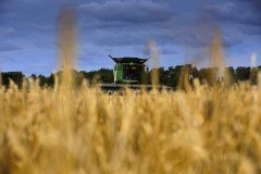 Scotgrain Agriculture logo