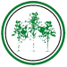 Silver Birches Label Co. Limited logo