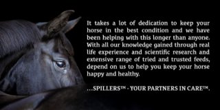 Spillers Speciality Feeds Limited logo