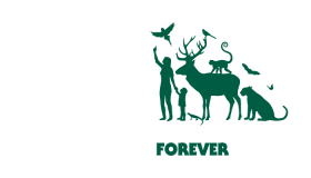 Templecoombe Limited logo