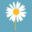 Daisys Dream' logo