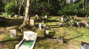 The Cemetery & Crematorium For Domestic Pets logo