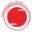 Technical Systems Limited