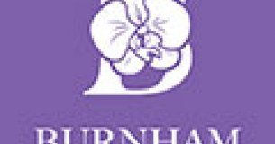 Burnham Limited logo